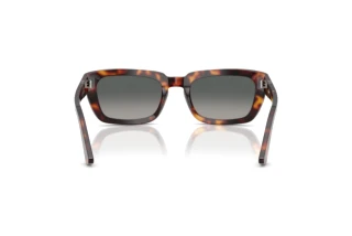 Rear view Persol PO3367S (24/71)