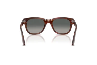 Rear view Persol PO3372S (122371)