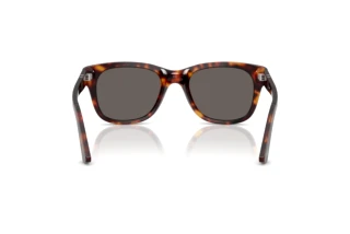 Rear view Persol PO3372S (24/B1)