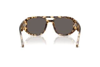 Rear view Persol VINCENT (PO3373S - 1056B1)