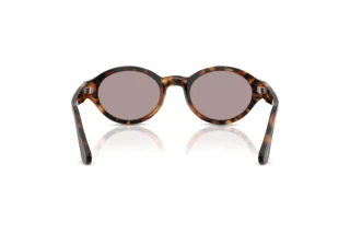Rear view Persol LORIS (PO3378S - 105253)
