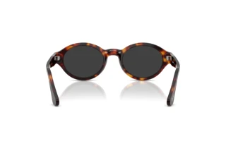 Rear view Persol LORIS (PO3378S - 24/48)