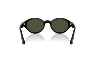 Rear view Persol LORIS (PO3378S - 95/31)