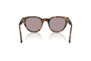 Rear view Persol PO3379S (105253)