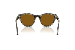 Rear view Persol PO3379S (107133)