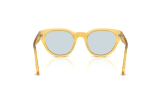 Rear view Persol PO3379S (204/56)
