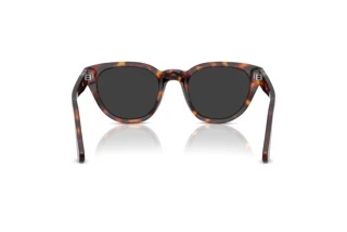Rear view Persol PO3379S (24/48)