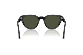 Rear view Persol PO3379S (95/31)