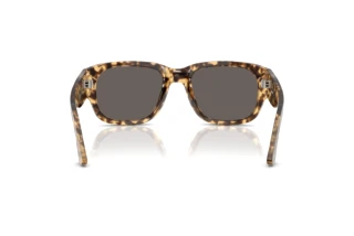 Rear view Persol PO3380S (1056B1)