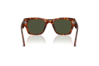 Rear view Persol PO3384S (24/31)