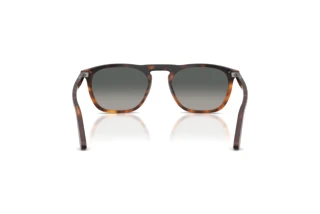 Rear view Persol GAE (PO3391S - 116071)