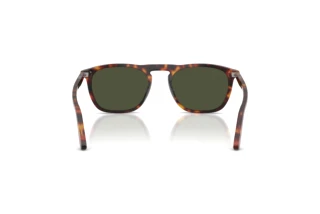 Rear view Persol GAE (PO3391S - 24/31)