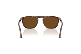 Rear view Persol GAE (PO3391S - 24/57)