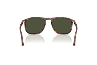 Rear view Persol PO3392S (24/31)