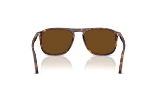 Rear view Persol PO3392S (24/57)