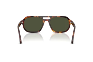 Rear view Persol GUIDO (PO3393S - 24/31)