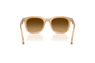 Rear view Persol PO3395S (116985)