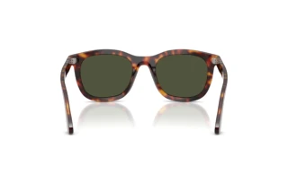 Rear view Persol PO3395S (24/31)