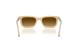 Rear view Persol PO3396S (116985)