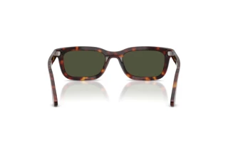 Rear view Persol PO3396S (24/31)