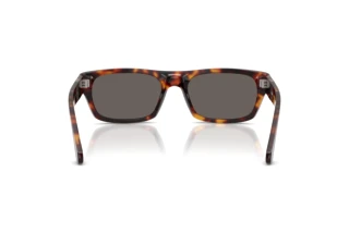 Rear view Persol PO3398S (24/B1)