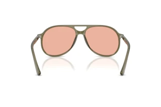 Rear view Persol WALTER (PO3403S - 11424B)
