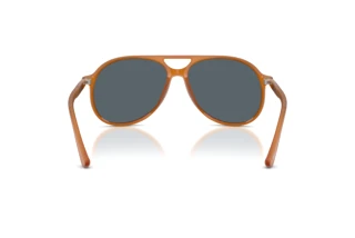 Rear view Persol WALTER (PO3403S - 1249R5)