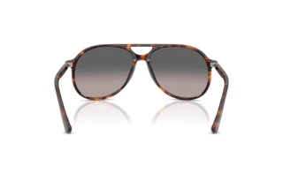 Rear view Persol WALTER (PO3403S - 24/M3)