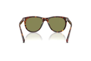 Rear view Persol PO3408S (24/4E)