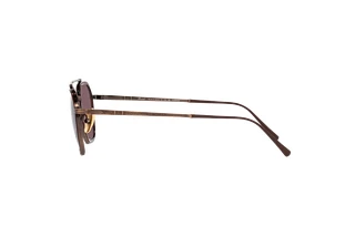 Side view Persol PO5010ST (8016AF)