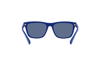 Rear view Polo PH4167 (596280)