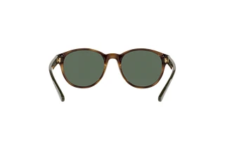 Rear view Polo PH4176 (500371)