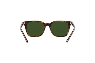 Rear view Polo PH4187 (501771)