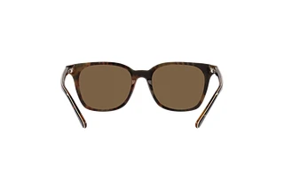 Rear view Polo PH4187 (562573)