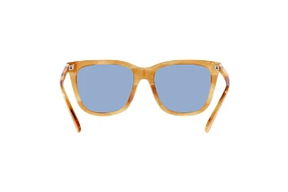 Rear view Polo PH4201U (607972)