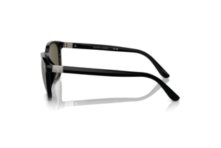Side view Polo PH4208U (5001/3)