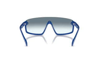 Rear view Polo PH4211U (596219)