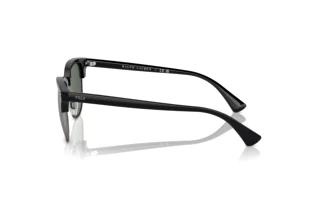 Side view Polo PH4217 (500171)