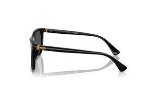 Side view Polo PH4220U (500187)