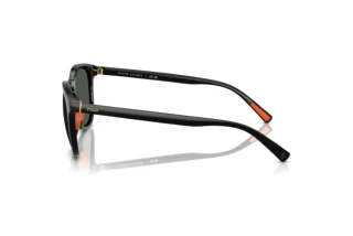 Side view Polo PH4222U (500187)
