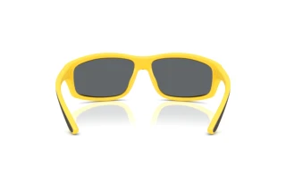 Rear view Polo PH4227U (51076G)
