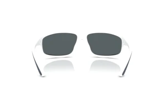 Rear view Polo PH4227U (547155)