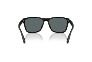 Rear view Polo PH4229U (500181)