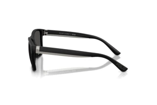 Side view Polo PH4229U (500187)