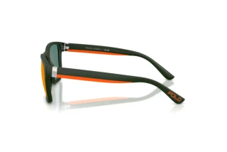 Side view Polo PH4229U (55966Q)