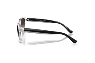 Side view Polo PH4229U (58698G)