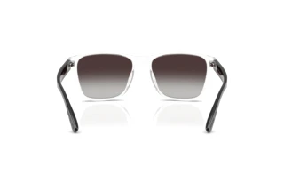 Rear view Polo PH4229U (58698G)