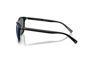 Side view Polo PH4231U (500122)
