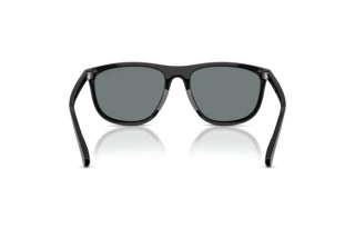 Rear view Polo PH4231U (500122)