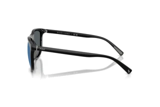 Side view Polo PH4231U (500155)